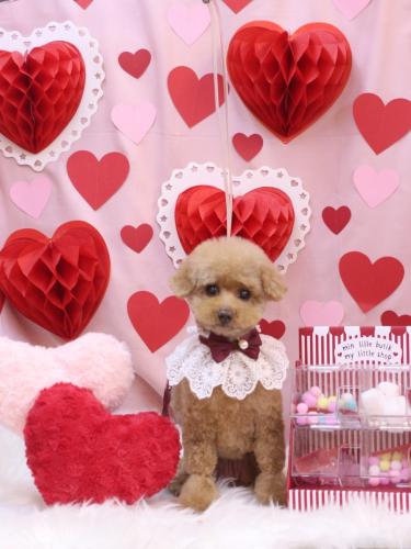 20240221ノアくん